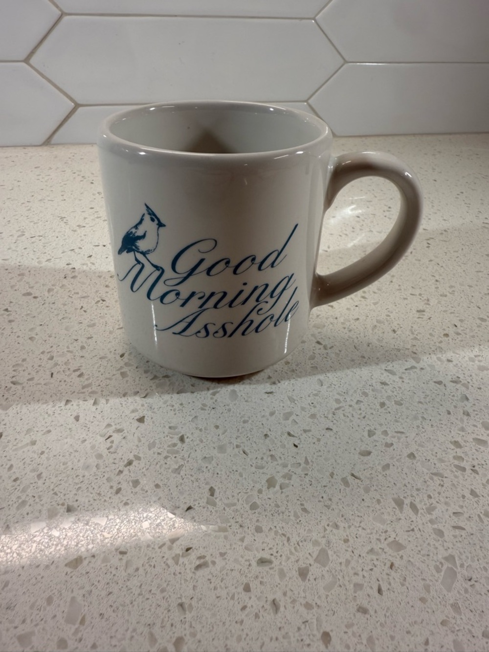 Jason Oranzo Good Morning A-hole Mug Coffee Bird Novelty Gag Gift